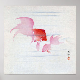 Póster 金魚, 古邨 Pair of Goldfish, Koson, Ukiyo-e, Woodcut