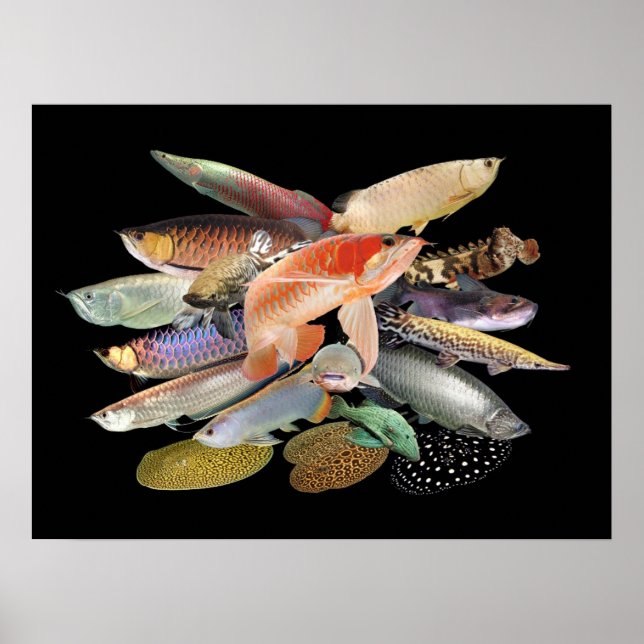 Póster 飛 び 出 す 大 熱 htémica htémica, N0.02 (Frente)