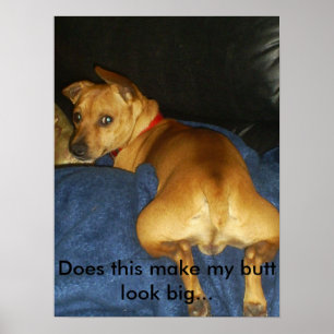 Póster 042, hace esto hacen mi mirada del extremo grande…