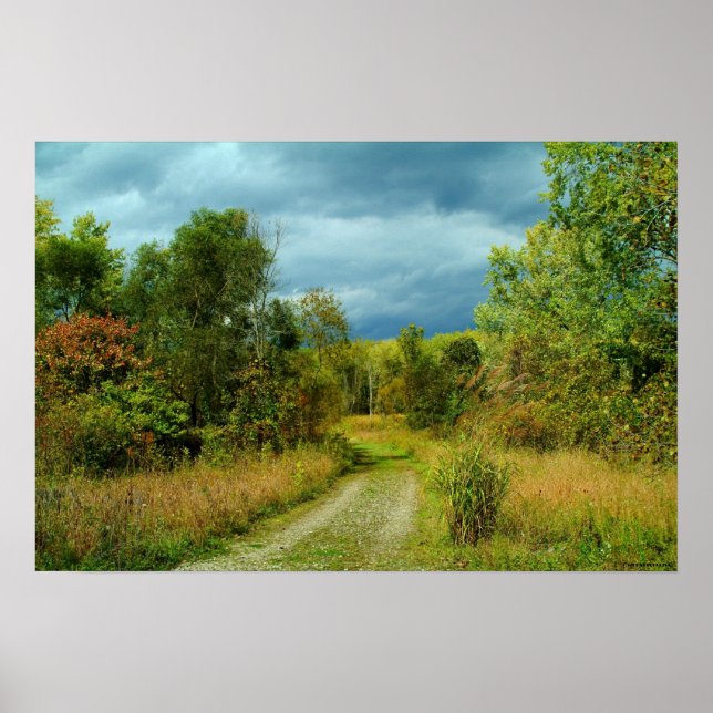 PÓSTER 100309-295-AWA (Frente)