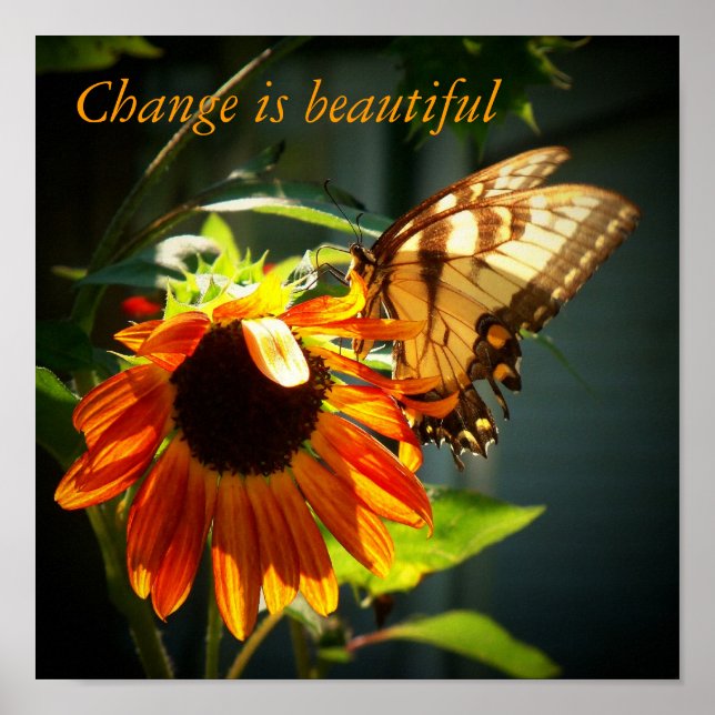 Póster 100_1974, Change is beautiful (Frente)