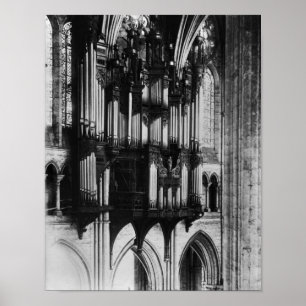 Póster 100 Orgánico