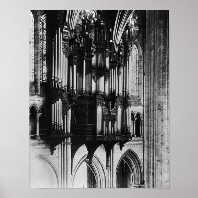 Póster 100 Orgánico (Frente)