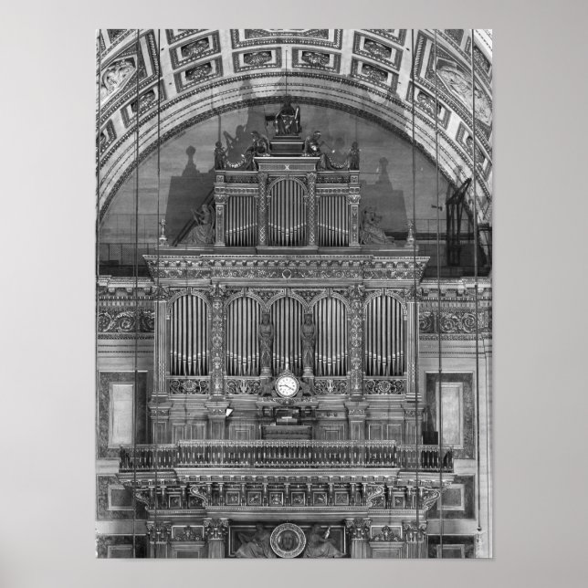 Póster 100 Orgánico (Frente)