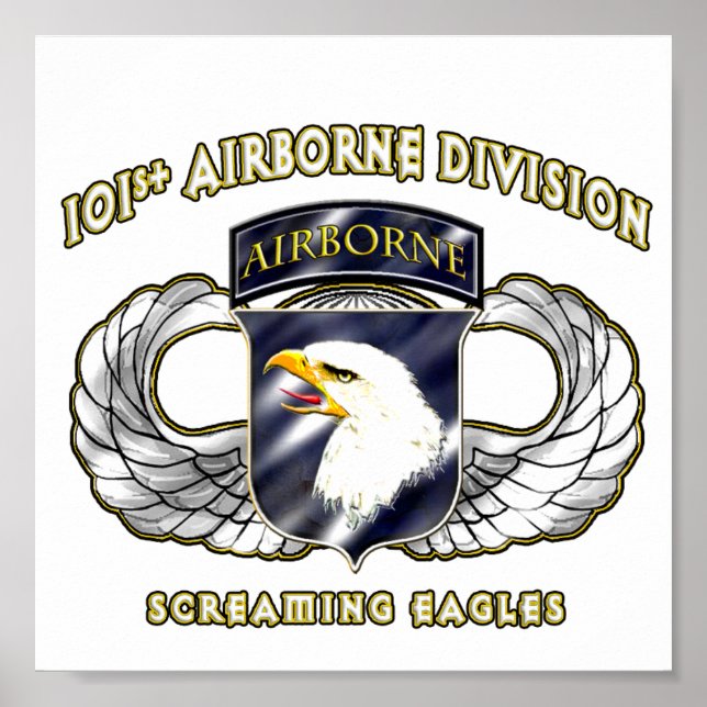 Póster 101ª División Aérea (Frente)