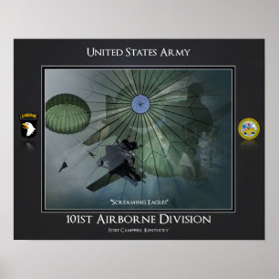 Póster 101ª División Aérea