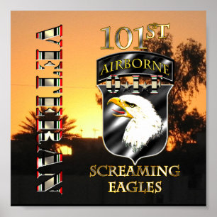 Póster 101ª División Aérea OIF Veterano
