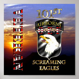 Póster 101ª División Aérea Veterana de la HAO