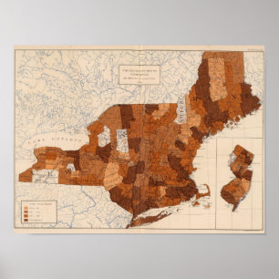 Póster 101 consumo NY, NJ, Nueva Inglaterra