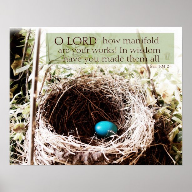 Pósters Petirrojo | Zazzle.es