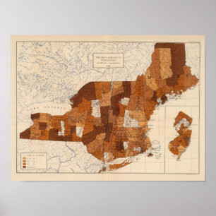 Póster 109 fiebre tifoidea NY, NJ, Nueva Inglaterra