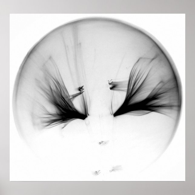 PÓSTER 10^23 #1 (Frente)