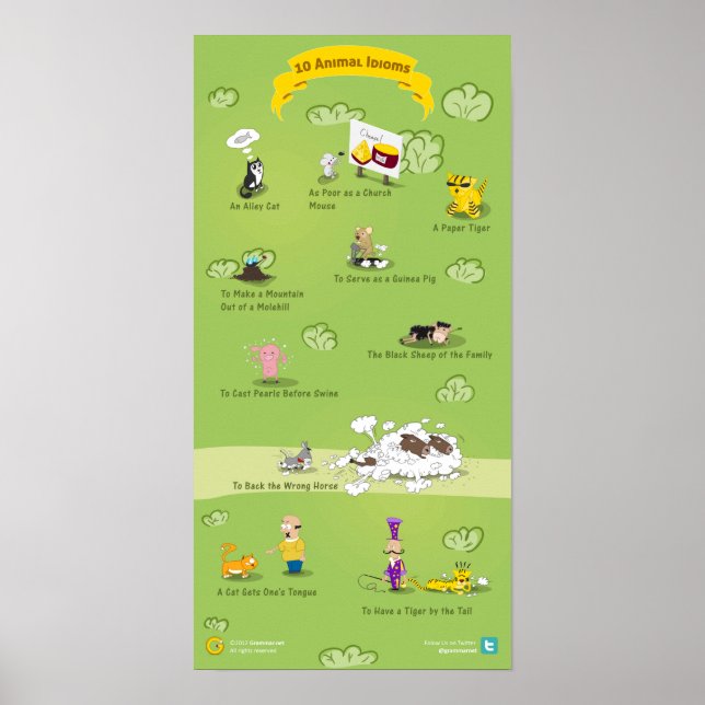 Póster 10 Idiomas animales y su significado (Frente)