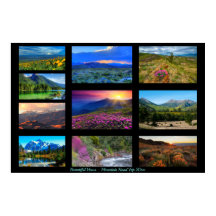 10 Planilla fotográfica horizontal y galería de te