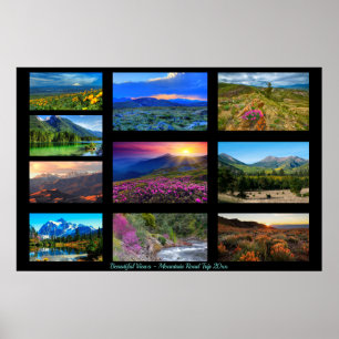 Póster 10 Planilla fotográfica horizontal y galería de te
