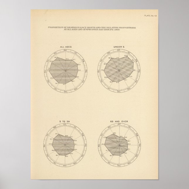 Póster 113 Muertes en el mes de 1900 (Frente)