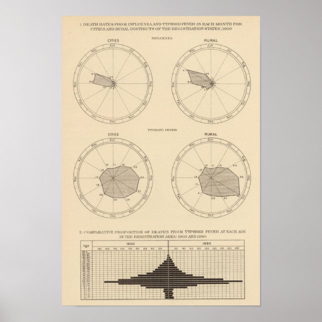 Póster 117 Muertes de gripe, fiebre tifoidea 1900, 1890 (Frente)