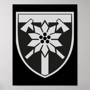 Póster 128ª Brigada de Asalto de Montaña (Ucrania) Mi ucr
