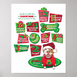 Póster 12 perros del navidad