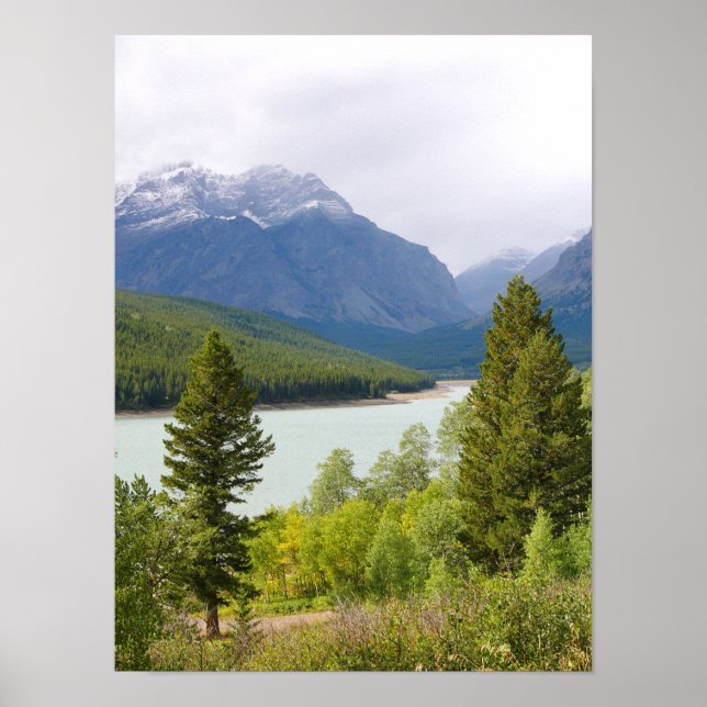 Póster 12x16 Poster del Parque Nacional Glacier (Frente)