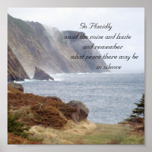 Póster 134, van apacible   en medio del ruido y de la