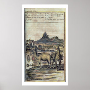 Póster 137-0627924 Illustration from a history of Peru sh