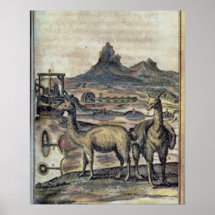 Póster 137-0627924 Illustration from a history of Peru sh