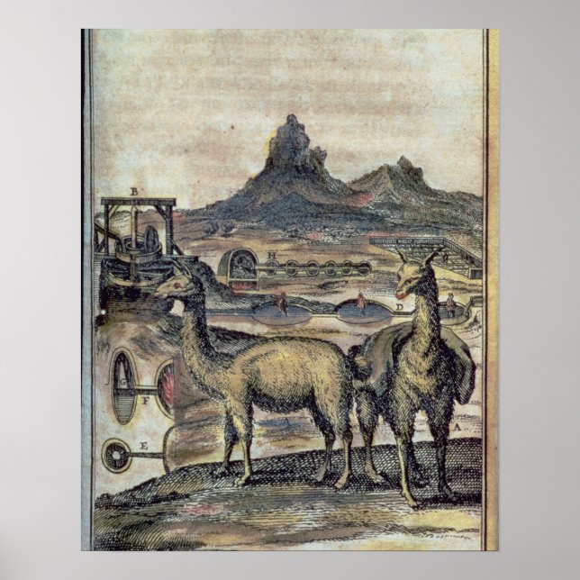 Póster 137-0627924 Illustration from a history of Peru sh (Frente)
