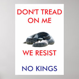 Póster 13 X 19 archival hearvy matte paper rally poster