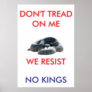 Póster 13 X 19 archival hearvy matte paper rally poster