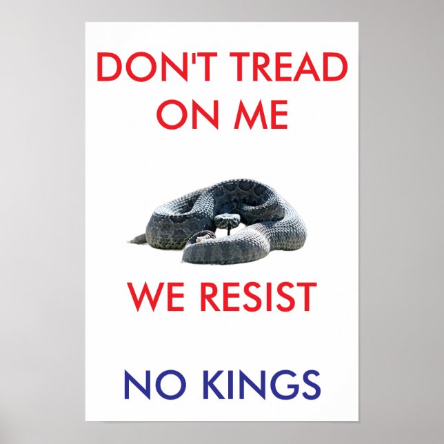 Póster 13 X 19 archival hearvy matte paper rally poster (Frente)