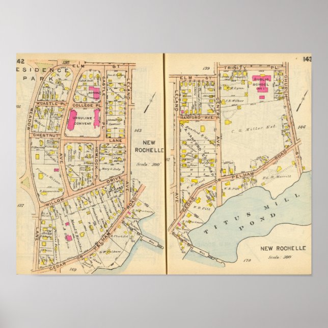 Póster 142143 Nuevo Rochelle (Frente)