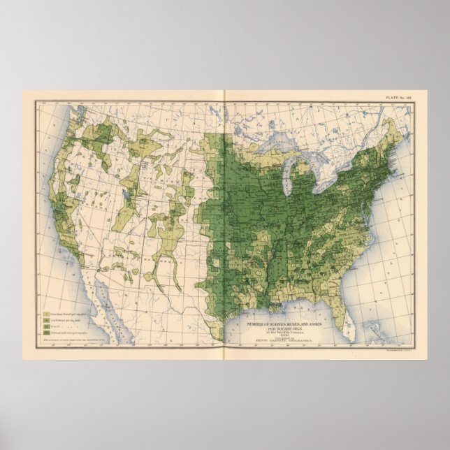 Póster 149 Caballos, mulas, asnos/milla cuadrada (Frente)