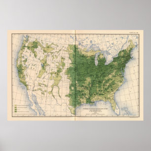 Póster 149 caballos, mulas, milla de asses/sq