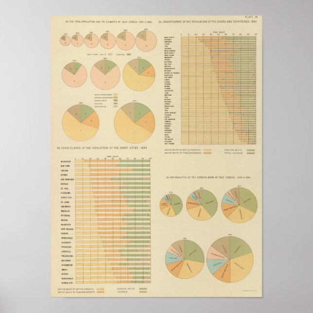 Póster 14 Elementos, constituyentes, nacionalidades 17901 (Frente)