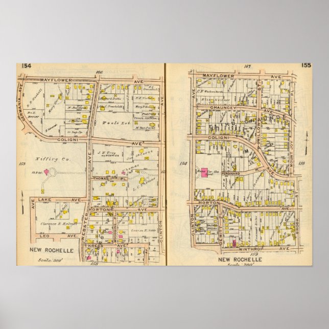 Póster 154155 New Rochelle (Frente)