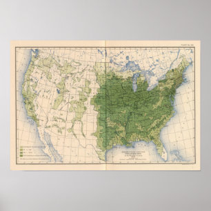 Póster 154 milla de maíz/cuadrado