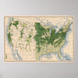 Póster 156 trigo/milla cuadrada