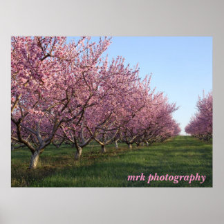 Póster 158, fotografía mrk