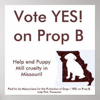 Póster 15" por 15" - SÍ! en Prop B Poster