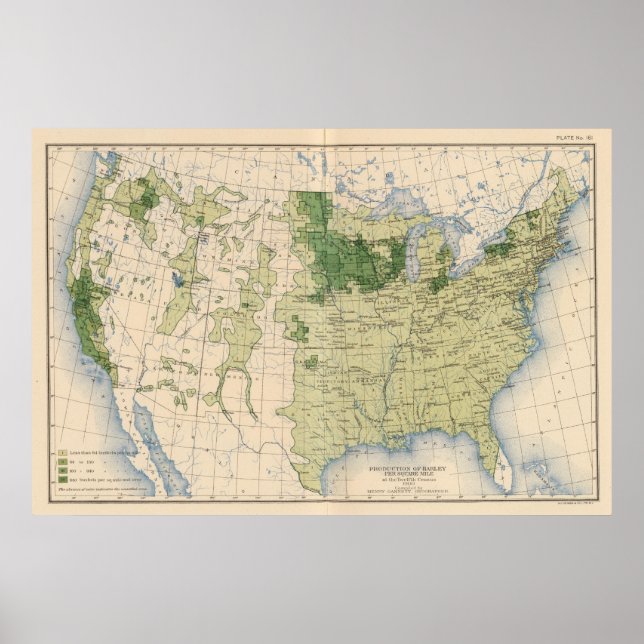 Póster 161 Barley/milla cuadrada (Frente)