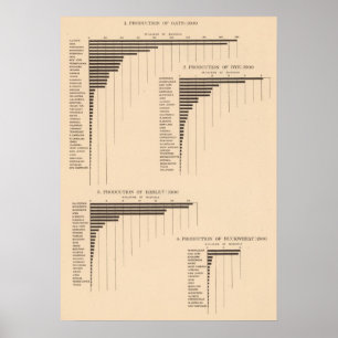 Póster 164 Oats, rye, barley, buckwheat 1900
