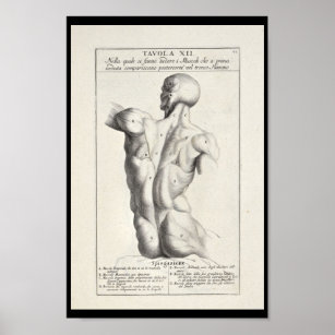 200 ideas de Anatomia artistica  anatomía artística, anatomía, arte de  anatomía