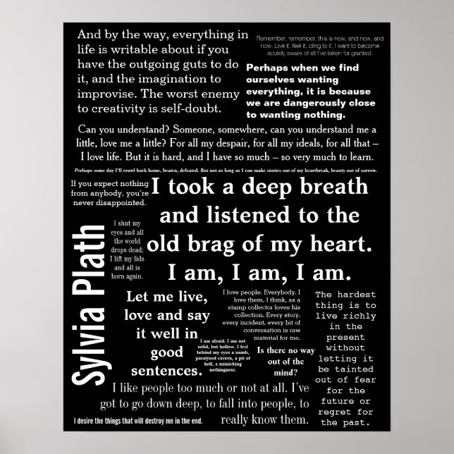 Póster 16" x 20", papel Poster de valor (mate) (Frente)