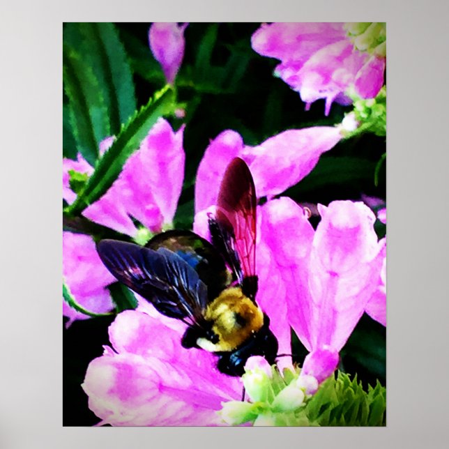 Póster 16" x 20" poster (semi-gloss)Bee's Eyes Collection (Frente)