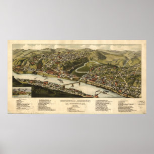 Póster 1883 Brownsville, mapa panorámico de vista de aves