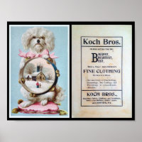 1898, Ropa, Perro, Publicidad, Vintage