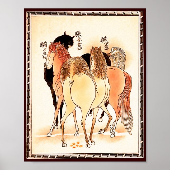 Póster 18 caballos: Llamado a la Naturaleza (Frente)