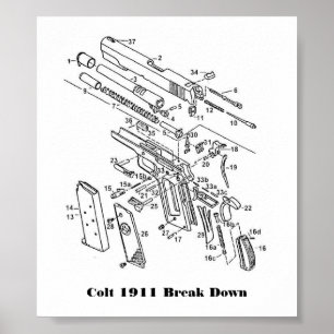 Póster 1911 porciones, potro 1911 analizan