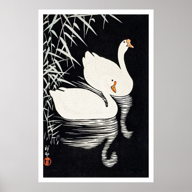 Póster 1928 Ohara Koson White Chinese Geese Swimming  (Frente)